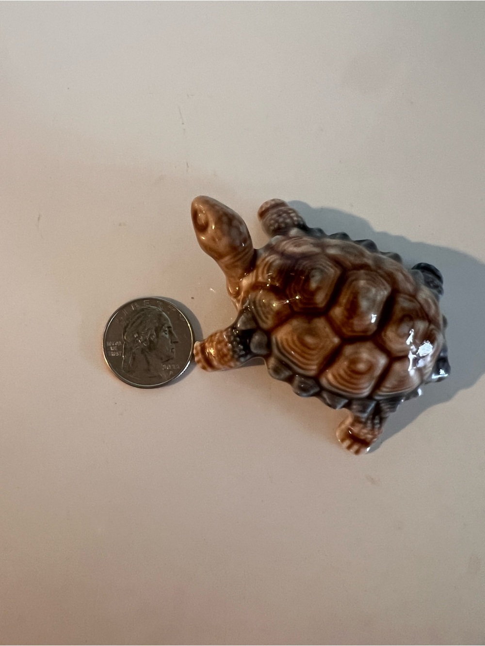 Medium Size Wade Tortoise